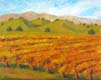 Autumn at Firestone Vineyard